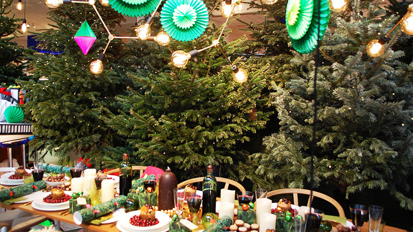 Camping in Your Yard at Christmas: A Fun, Festive Idea